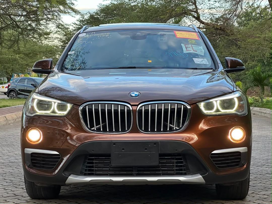 BMW X1 SERIES